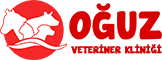Awesome Logo